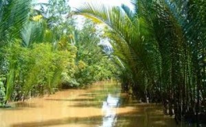 Image by: http://canthotourist.vn/travel/mekong-delta/waterway-transport